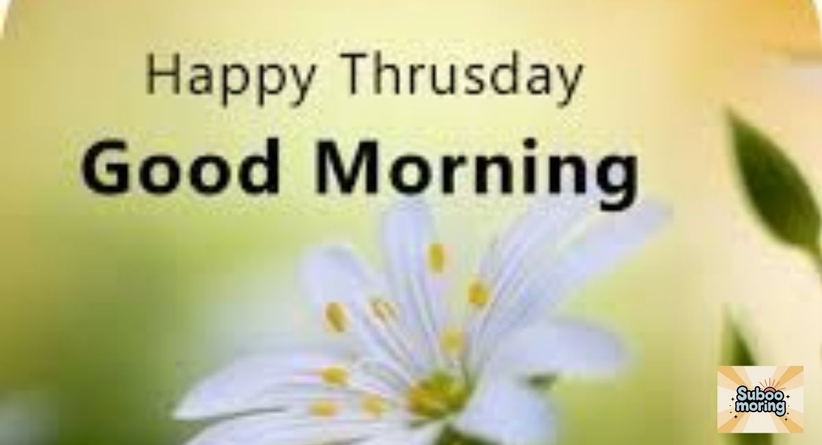 Thursday Morning Prayer