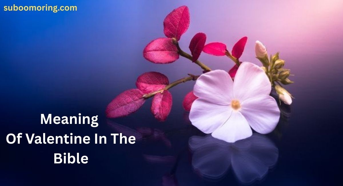 meaning-of-valentine-in-the-bible